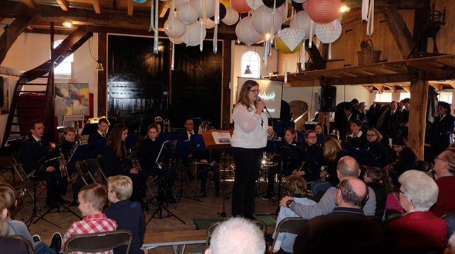 Snertconcert (zondag 17 januari 2016)